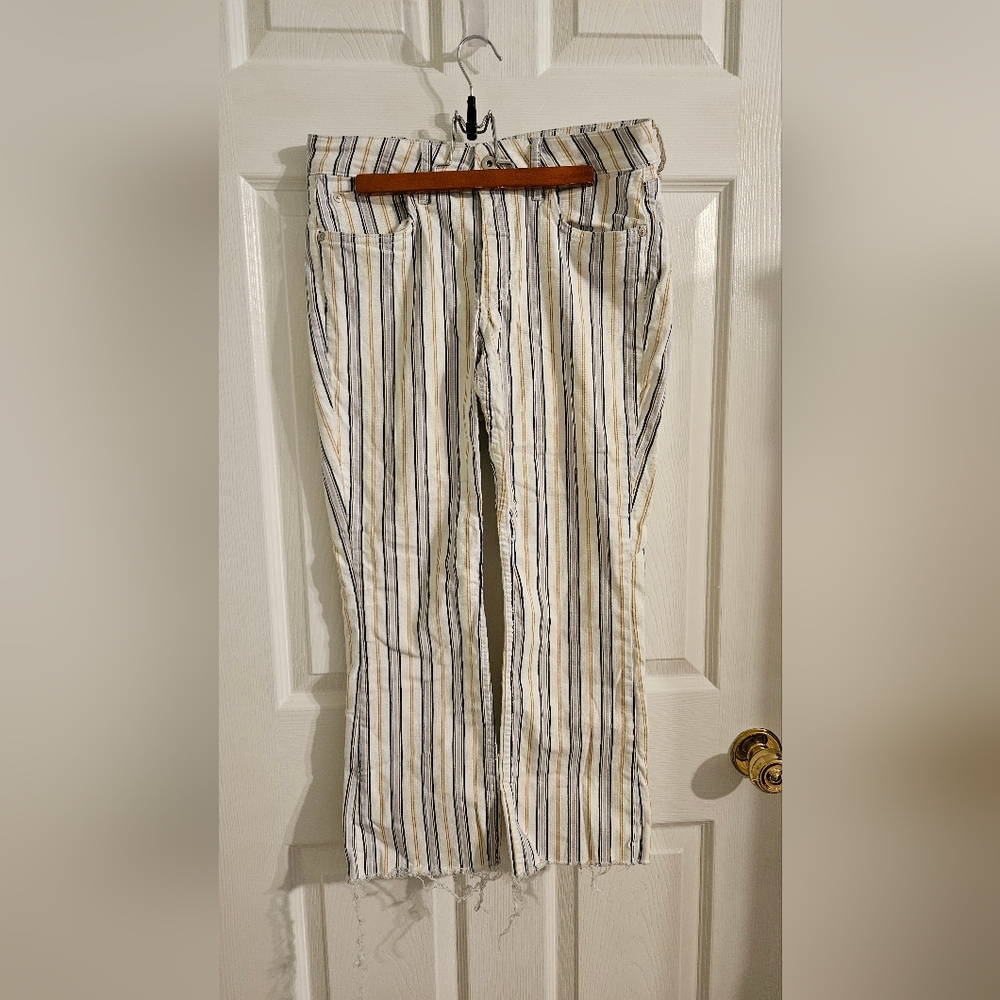 Anthropology pants